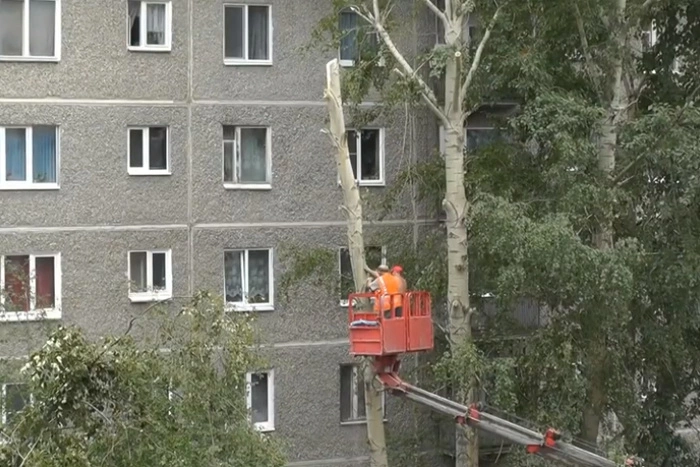 Коммунальщики Екатеринбурга активизируют уборку тополиного пуха с магистралей