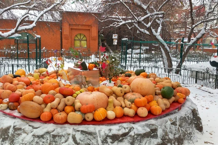 «Одна тыква — один билет». 31 октября Екатеринбургский зоопарк отмечает День тыквы