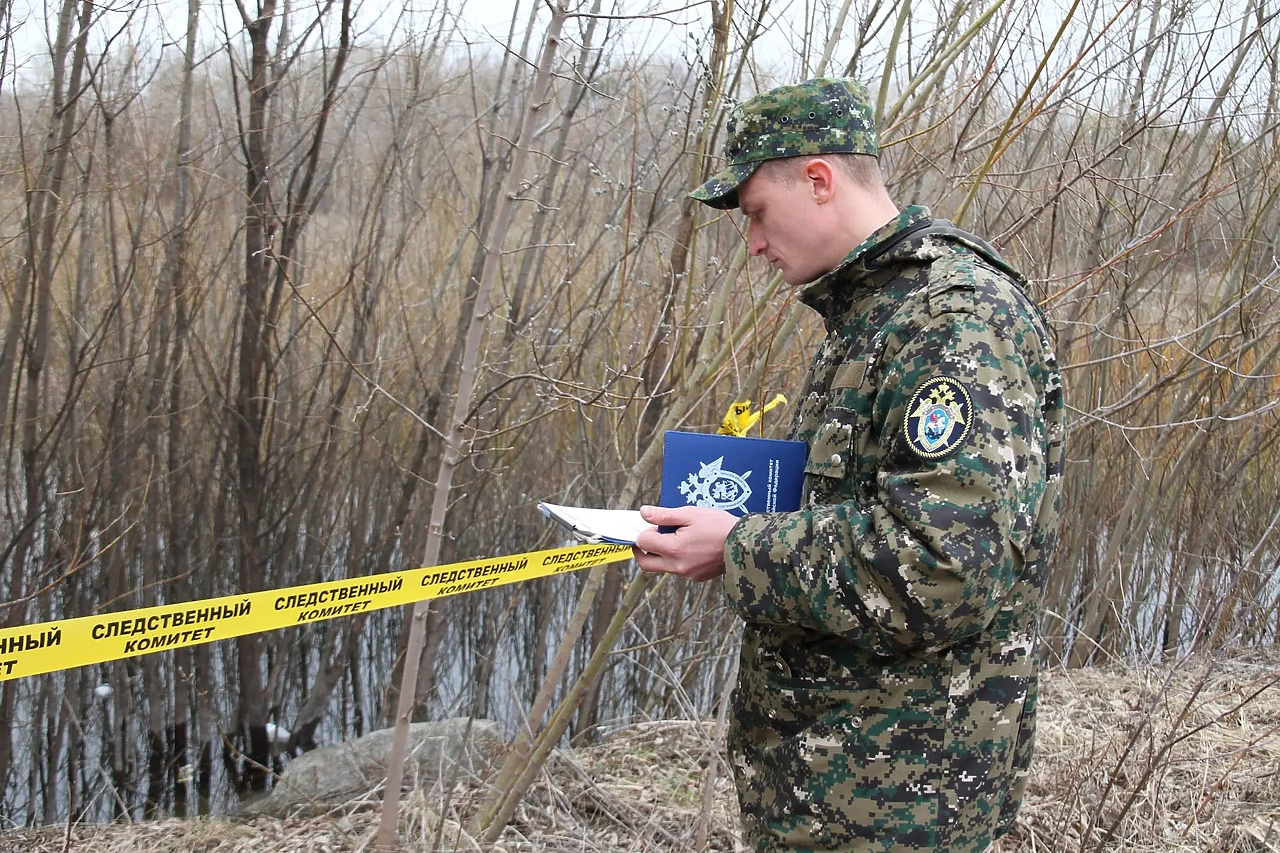 В Серове двое пьяных пытались похитить продавца, помешавшего краже спиртного