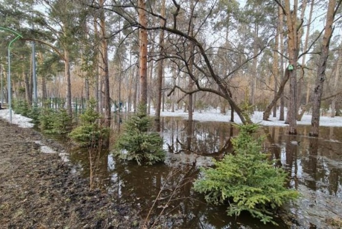 «Там всегда было болото»: в мэрии Екатеринбурга объяснили подтопление Зелёной Рощи