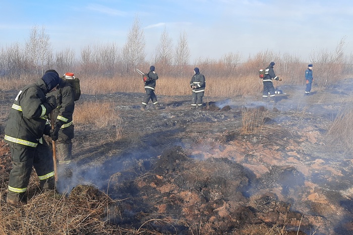 ГУ МЧС: Ликвидировны 10 очагов пожара торфяника в Екатеринбурге, остается еще 17