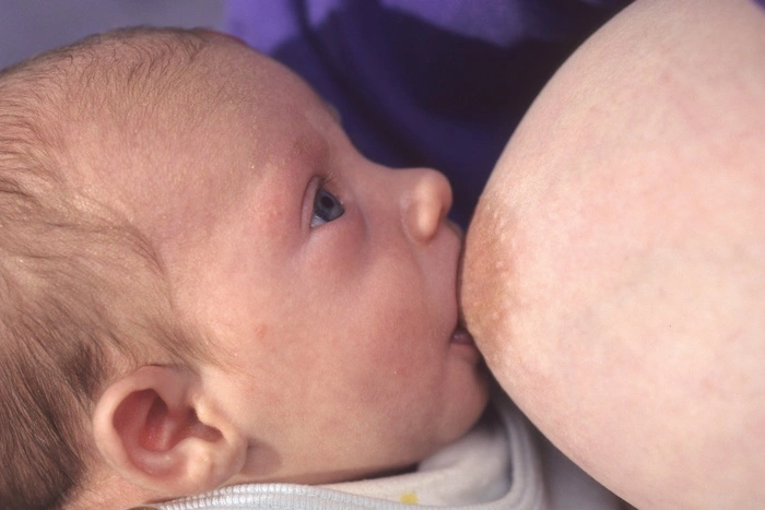 Биологи раскрыли секрет грудного молока