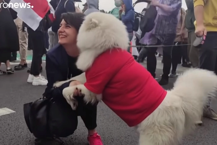 Песков отказался комментировать посадку самолета Ryanair в Минске