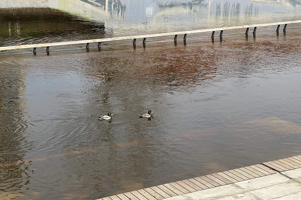 Ограничено транспортное сообщение: в Свердловской области затоплено уже восемь мостов
