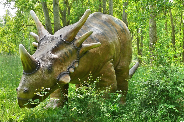 Самый большой в России парк динозавров откроется в Казани
