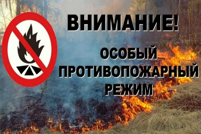 На территории Свердловской области с 1 мая установлен особый противопожарный режим