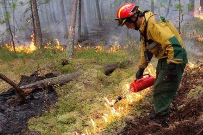 Куйвашев сообщил, что Екатеринбург вновь накроет дымом