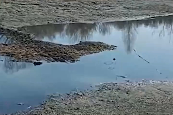 В Екатеринбурге из-за аномальной засухи пересохло озеро