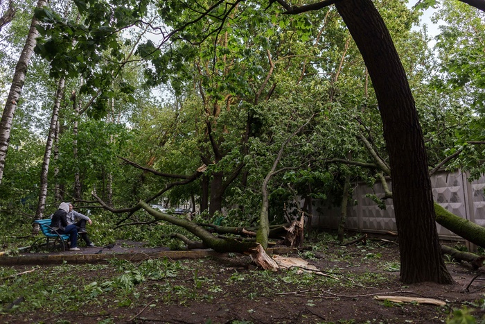 В Центральной России более 30 тысяч человек остаются без света после урагана