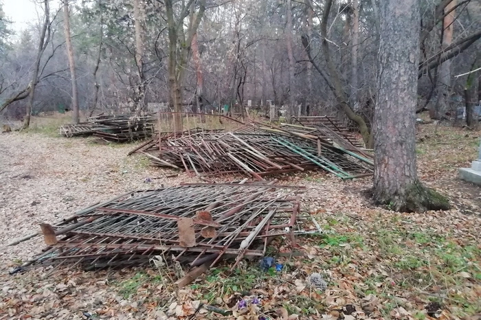 «Впервые слышим». Спиленные на Ивановском некрополе оградки удивили службу городских кладбищ