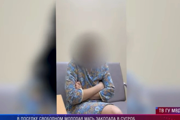 Матери, закопавшей новорожденного в снегу, вероятно, не вернут ребенка