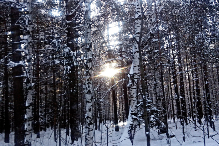 Синоптики: потепление на Среднем Урале продержится как минимум до начала декабря