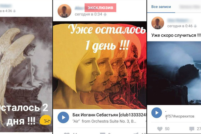 Псковские полицейские вычислили самоубийцу по картинкам «обратного отсчёта»