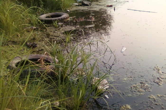 Дно озера Шарташ под Екатеринбургом начнут очищать в 2022 году