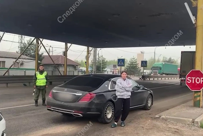 СК опубликовал видео задержания автора «Марафона желаний» Елены Блиновской