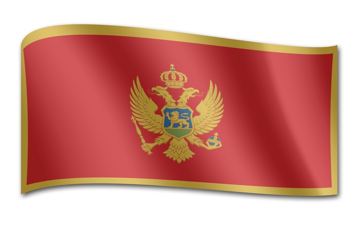 МИД России оставил за собой право ответить на враждебные действия Черногории