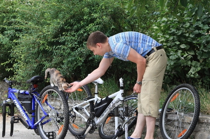 Опрос показал, что более четверти россиян имеют велосипеды