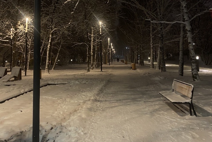 Синоптики рассказали, когда в Свердловской области выпадет снег
