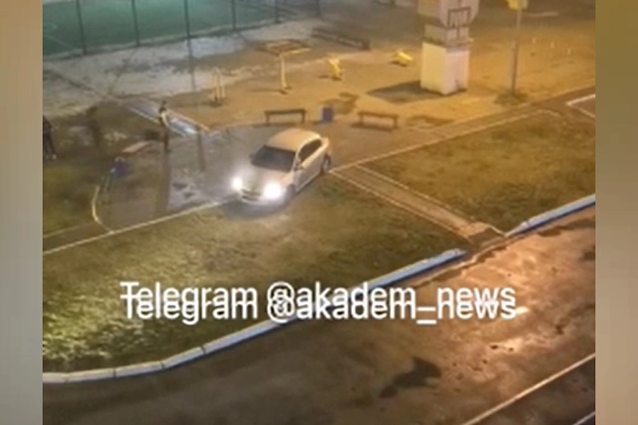 В Академическом силовики задержали живодёра, бегавшего по двору с ножом