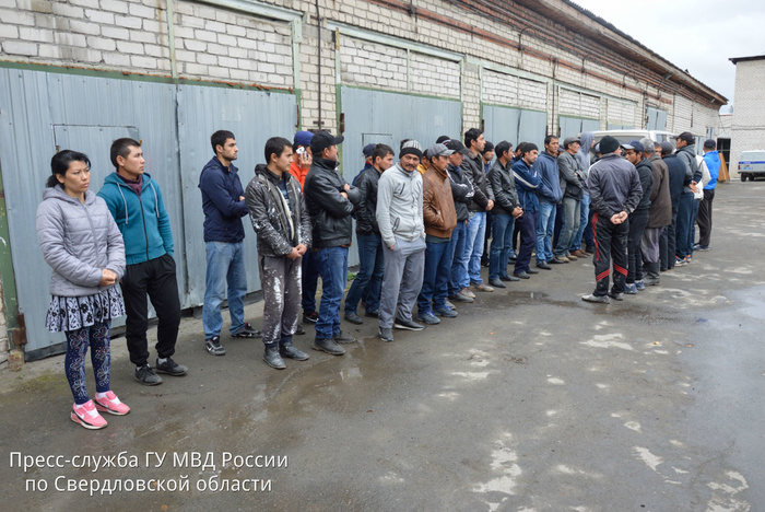 В Томске мигрантов, пришедших за квотами, разогнали электрошокерами и дубинками