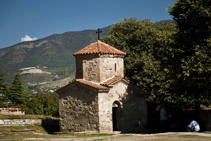 Кремль счел инцидент с депутатом Думы в Тбилиси «русофобской провокацией»