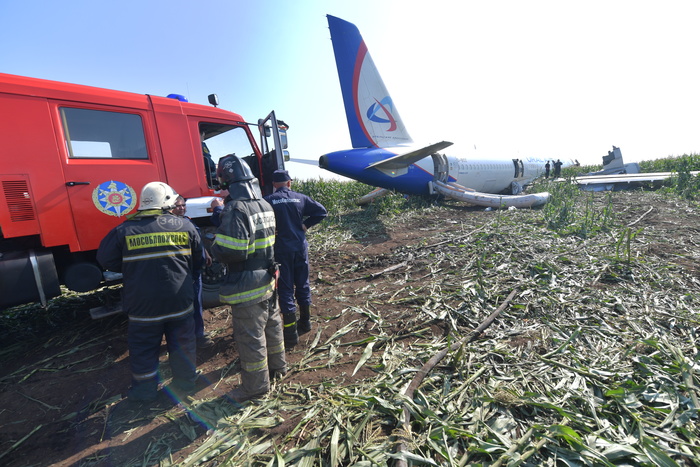 Половина пассажиров аварийно севшего A321 отказались лететь в Крым