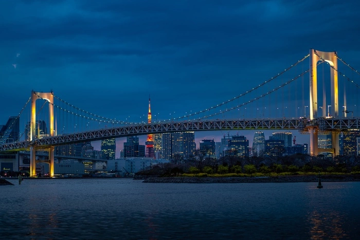 Французские специалисты займутся ремонтом вантового моста на остров Русский