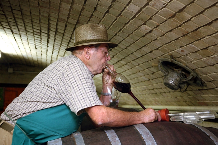 Причина алкоголизма — радость. Вернее, нарушение в работе гормона радости