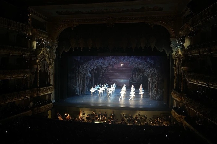 Даже по 12 тысяч! Екатеринбуржцы разобрали дорогущие билеты на «Лебединое озеро»