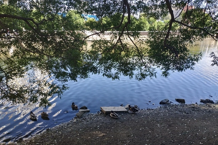 МЧС: Дымка в Екатеринбурге появилась из-за слабого ветра и высокой влажности