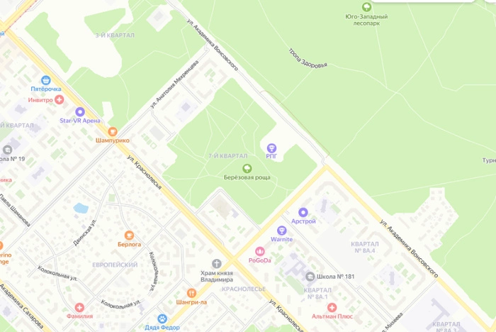 Стало известно, кто и зачем вырубает деревья в Берёзовой роще Академического