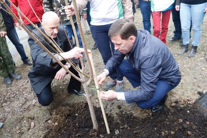 Политологи оценили слухи об отставке свердловского губернатора
