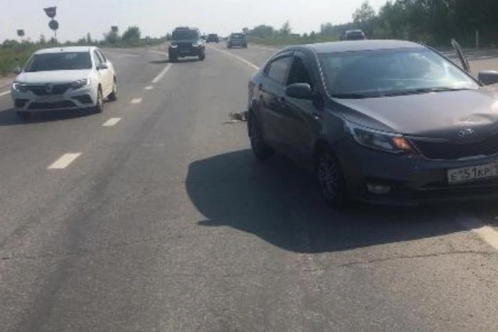 В Свердловской области 8 школьников на легковушке из каршеринга устроили ДТП