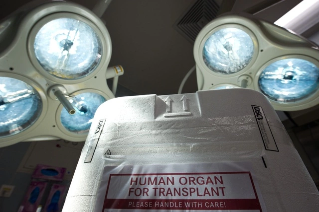 Сенатор предложил фиксировать в паспортах согласие на пересадку органов