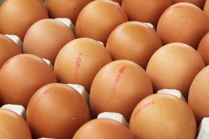 Одно яйцо в день снизит риск возникновения рака груди