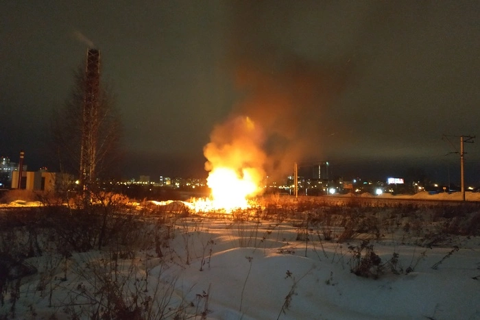 «Нас там нет». Находящиеся на самоизоляции уральцы устроили уже 13 лесных пожаров