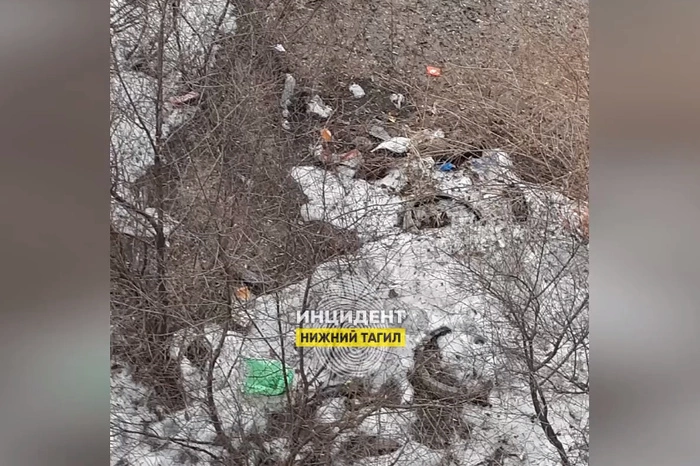 Свердловская семья превратила жизнь соседей в ад