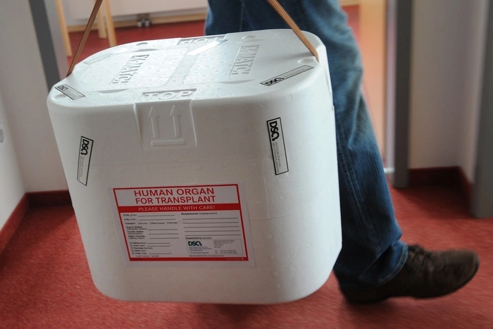 В России могут ввести презумпцию согласия на посмертное донорство. Зачем это нужно?
