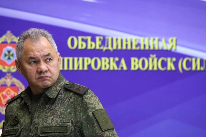 Шойгу предложил поэтапно увеличить возраст призыва с 18 до 21 года