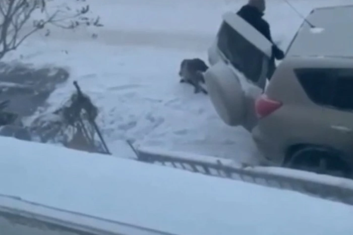 Свердловчанин избил собаку бейсбольной битой