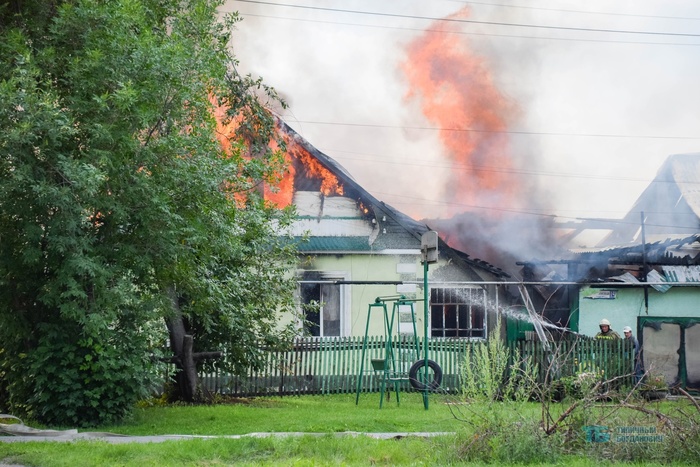 В Богдановиче при пожаре частных домов погибли две собаки
