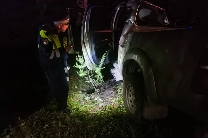 Пожилая женщина погибла в ДТП с пикапом на севере Свердловской области