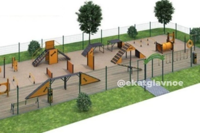 В Екатеринбурге вместо автопарковки сделают собачью площадку (ФОТО)