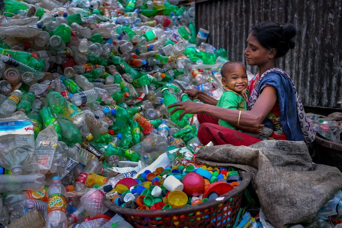 Пять главных экологических заблуждений современности