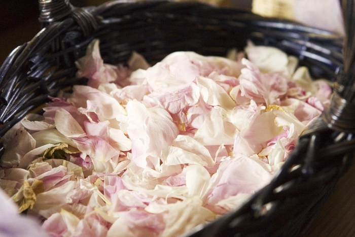 Прокурора из Чечни уволили из-за стрельбы на московской свадьбе