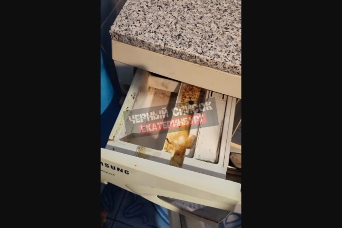 Уральцы разочаровались в съемных коттеджах на Новый год