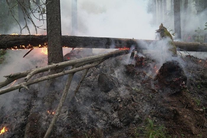 В свердловском заповеднике спрогнозировали катастрофическое распространение пожара