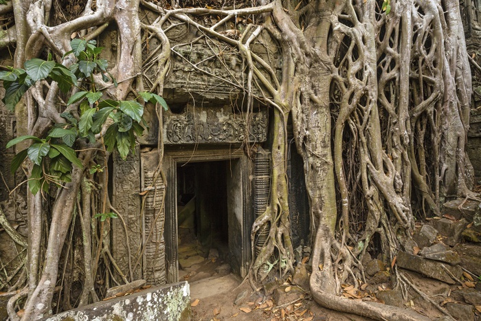Археологи обнаружили в Камбодже тысячелетние города среди джунглей