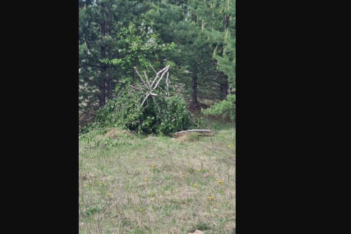 Чьи-то приготовления к поджогу сухой травы обнаружили в Нижнем Тагиле
