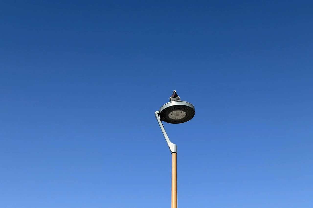 Аномальное летнее тепло идёт в Свердловскую область